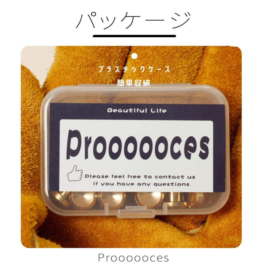シカゴスクリュー 15個入り 10×5×5mm 真鍮組ネジ コンチョ バッグ ベルト 底びょう リベット スタッズ パーツ 鋲 リベット スタッ |  | 03