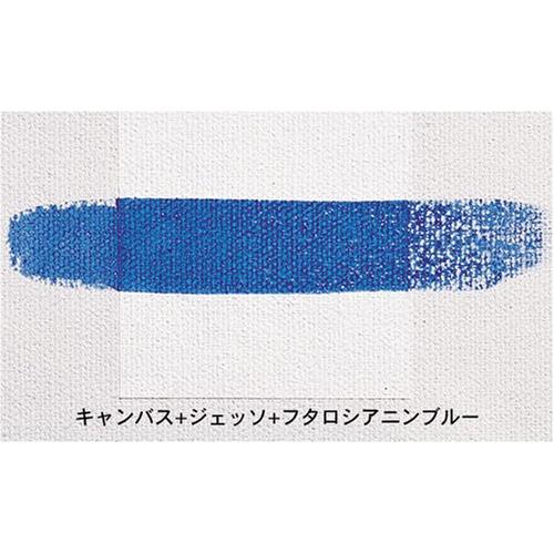 リキテックスLiquitex アクリル絵具ジェッソ 300ml : SOLVERTEX