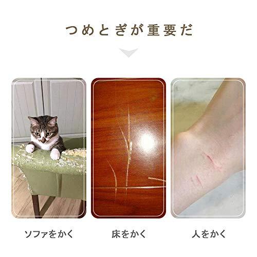 SONGWAY 猫 つめとぎ ダンボール 大型猫のつめとぎ 爪とぎ 爪研ぎ 猫爪とぎベッド ソファ型爪とぎ ペットソファ ペットベッド 強化ダン |  | 01