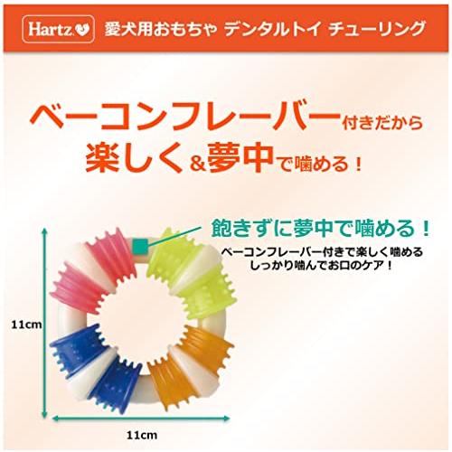 デンタルトイ チューリング 犬用おもちゃ 歯磨きおもちゃ L 4つの異なる噛み心地 | ハーツHartz | デンタルケア | 歯みがき |  | 02