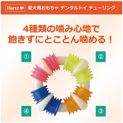 デンタルトイ チューリング 犬用おもちゃ 歯磨きおもちゃ L 4つの異なる噛み心地 | ハーツHartz | デンタルケア | 歯みがき |  | 03