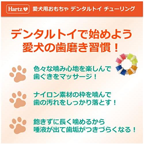 デンタルトイ チューリング 犬用おもちゃ 歯磨きおもちゃ L 4つの異なる噛み心地 | ハーツHartz | デンタルケア | 歯みがき |  | 05