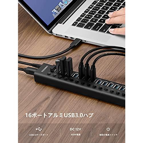ROSONWAY USB ハブ 3.0 16ポート アルミ製 Hub 100W セルフ