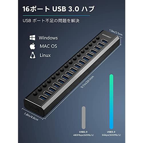 ROSONWAY USB ハブ 3.0 16ポート アルミ製 Hub 100W セルフ