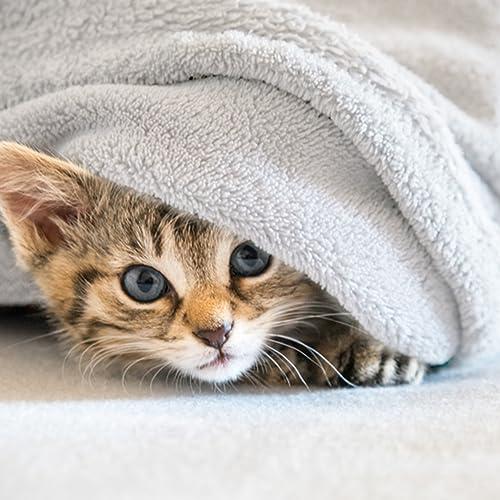 Hansleep 毛布 セミダブル 冬用 ブランケット もうふ 160x200cm マイクロファイバー 柔らかく肌触り フランネル 洗える 軽量 |  | 02