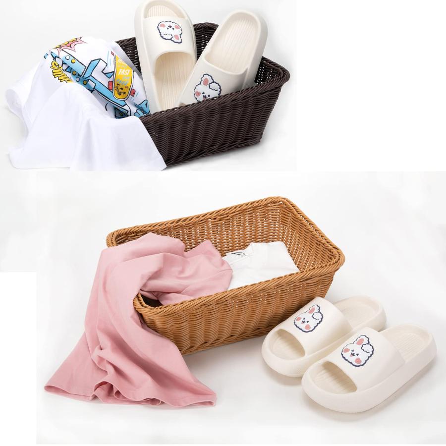 SAKE 2個組 ブラウン色 L-Plusサイズ PP（ポリプロピレン） かご