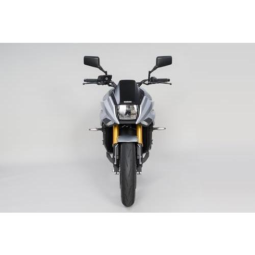 タナックス TANAX クロス２ミラーEX L レイセーブ NA-016L |  | 05