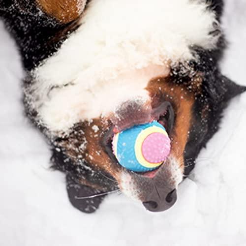 PLATZ PET SUPPLISES&FUNプラッツ犬用おもちゃ センサリーボール Mサイズ |  | 06