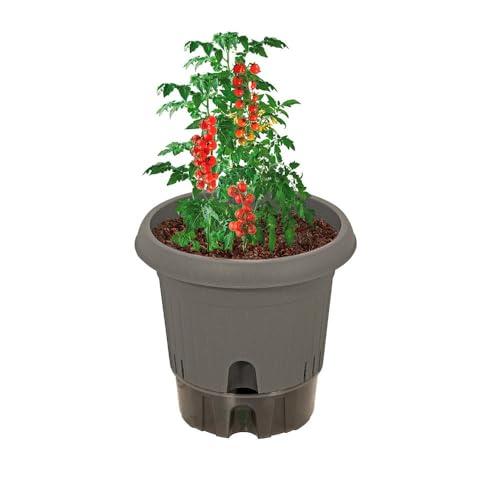 ベストコ 植木鉢 給水式 ポット 日本製 300型 グレー MA-4209 |  | 01