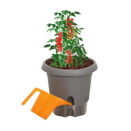 ベストコ 植木鉢 給水式 ポット 日本製 300型 グレー MA-4209 |  | 02