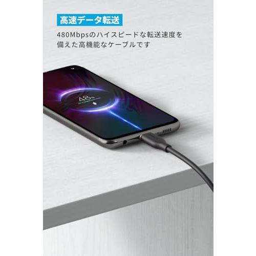 Anker USB-C ＆ USB-A ケーブル Flow 絡まないケーブル 15W 結束バンド付き USB-C機器対応 シリコン素材採用 Ga |  | 04