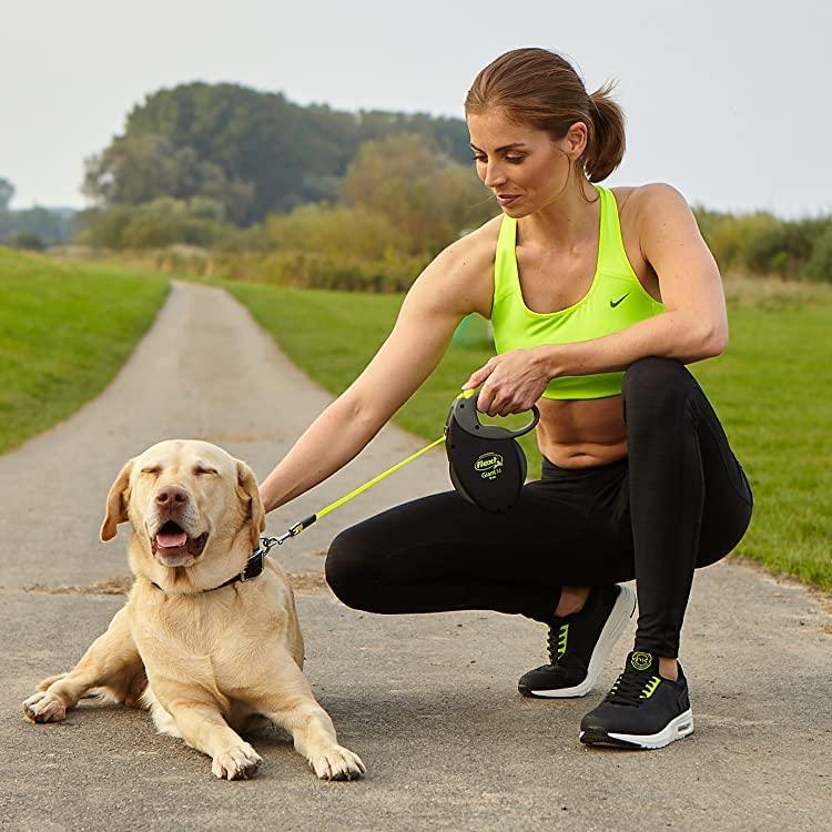 フレキシ flexi ジャイアント テープ XL50kg以上 8m 犬用リード |  | 05