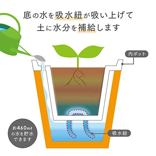 アイメディアAimedia 植木鉢 プランター 自動給水 水やり不要 鉢 5号 家庭菜園 ガーデニング 観葉植物 鉢植え 水受け不要 かしこい植 |  | 02