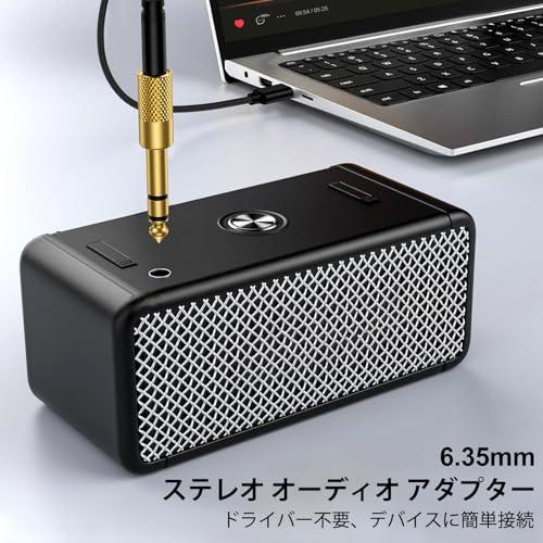 Viviber 3.5mm 6.35mm 変換 イヤホンジャック ステレオミニ標準プラグ 持ち便利 イヤホンプラグ 変換 2個セット 高耐久 3 |  | 01