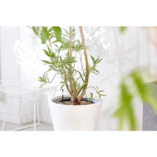 SUStee 水やりチェッカー Mサイズ ブラック 2本パック |  | 02