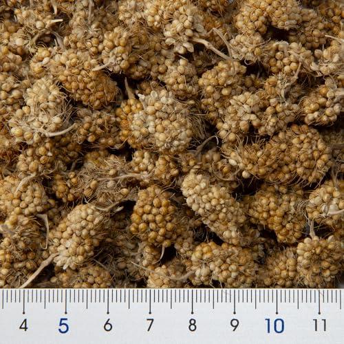 つみたてあわ玉 45g |  | 01