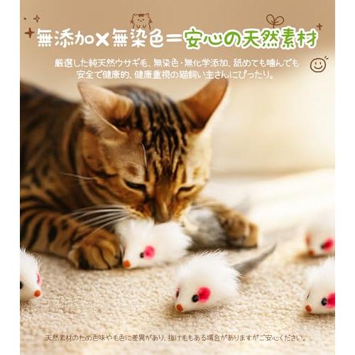 HOLYCAT 猫 おもちゃ ネズミ 猫のおもちゃ ねずみ シャカシャカ 天然 無着色 天然ラビットファー ウサギ毛 滅菌済み ふわふわ柔らか |  | 03