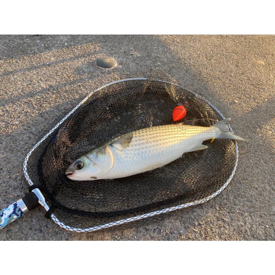 サンライクSANLIKE タモ網 玉網 ９段階 伸縮 カーボン製 小継玉の柄 超軽量 釣りタモ タもアミ ランディングネット 磯玉セット 4つ折 |  | 06