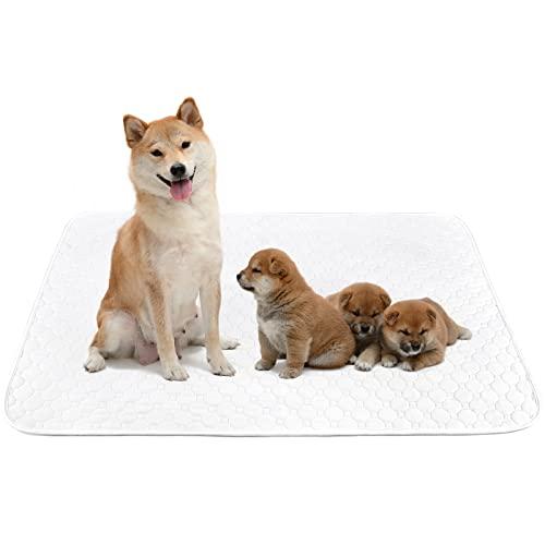 ペットシーツ 洗える 猫 犬用 おしっこパッド ペット用 トイレ下敷きマット 速乾 洗える 大判サイズ 多頭飼いに最適（ホワイトＸＬ　二枚セット | 