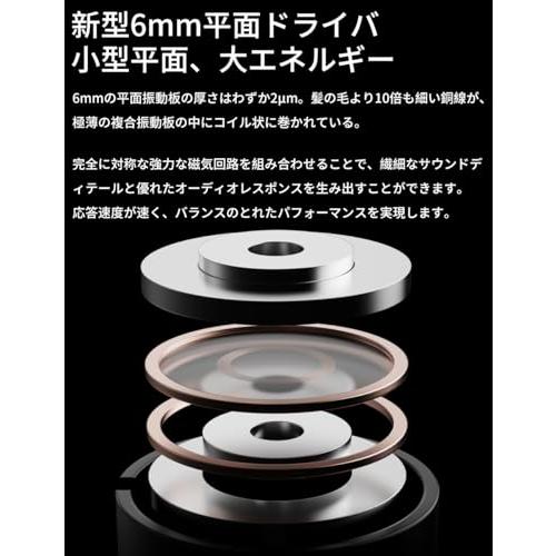 TRN WhiteTiger 白虎 2DD+1PD 平面駆動 イヤホン ハイレゾ モニターイヤホン 平面磁気ドライバー イヤーモニター 脱着式耳 |  | 03