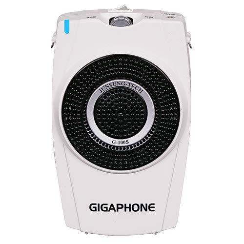 高性能 拡声器 GIGAPHONE G100S 30W | 