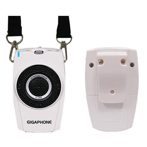 高性能 拡声器 GIGAPHONE G100S 30W |  | 06