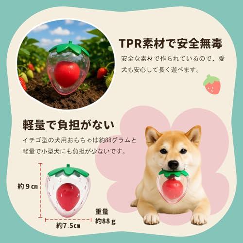 GHOSTCAT 犬 おもちゃ 音が出るおもちゃ イチゴ ?むおもちゃ 頑丈 小型〜大型犬まで ?んでも壊れにくい 犬用おもちゃ 洗える 耐久性 |  | 02