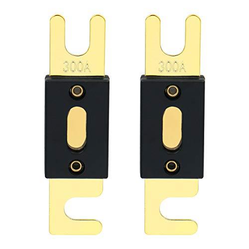 Heschen 車 ANLヒューズ 300A 自動車 バイク オーディオサブウーファー 用品 2個入り | 