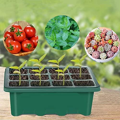 育苗ポット植物育成ライト付き 3個セット 育苗トレイ 育苗箱 12穴 高くする透明カバー 種子トレイ 発芽?育苗セット 種まきハウス 苗箱 種ま |  | 05