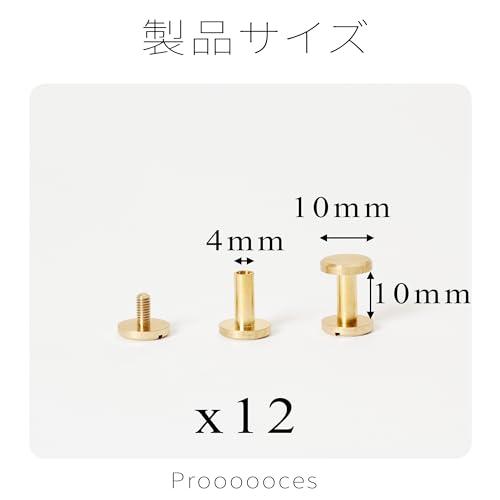 シカゴスクリュー 12個入り 10×4×10mm 真鍮組ネジ コンチョ バッグ ベルト 底びょう リベット スタッズ パーツ 鋲 リベット スタ |  | 01