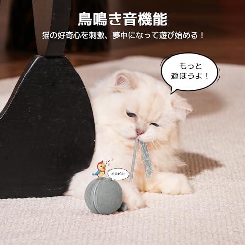 Cheerble 猫 ボール 自動 猫玩具 猫おもちゃ 動く しっぽ付き コマ型シェル付き 3モード調整可能 鳴き声搭載 Type-C充電式 収 |  | 02
