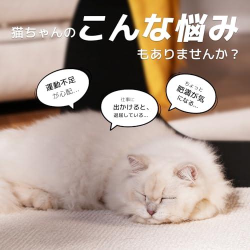 Cheerble 猫 ボール 自動 猫玩具 猫おもちゃ 動く しっぽ付き コマ型シェル付き 3モード調整可能 鳴き声搭載 Type-C充電式 収 |  | 06