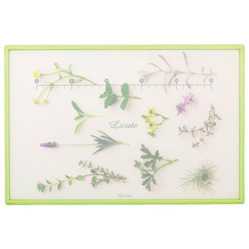 パール金属 軽くて 滑りにくい まな板 L ハーブストーリーG 食洗機対応 Licute 日本製 C-1242 | 