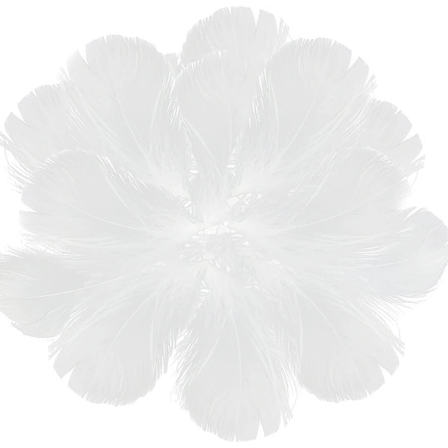 サムコス 羽シャワー フェザーシャ羽シャワー フェザーシャワー 200枚 羽 たっぷり 羽根 たっぷり 手芸材料 飾りフェザー DIY装飾小物 | 