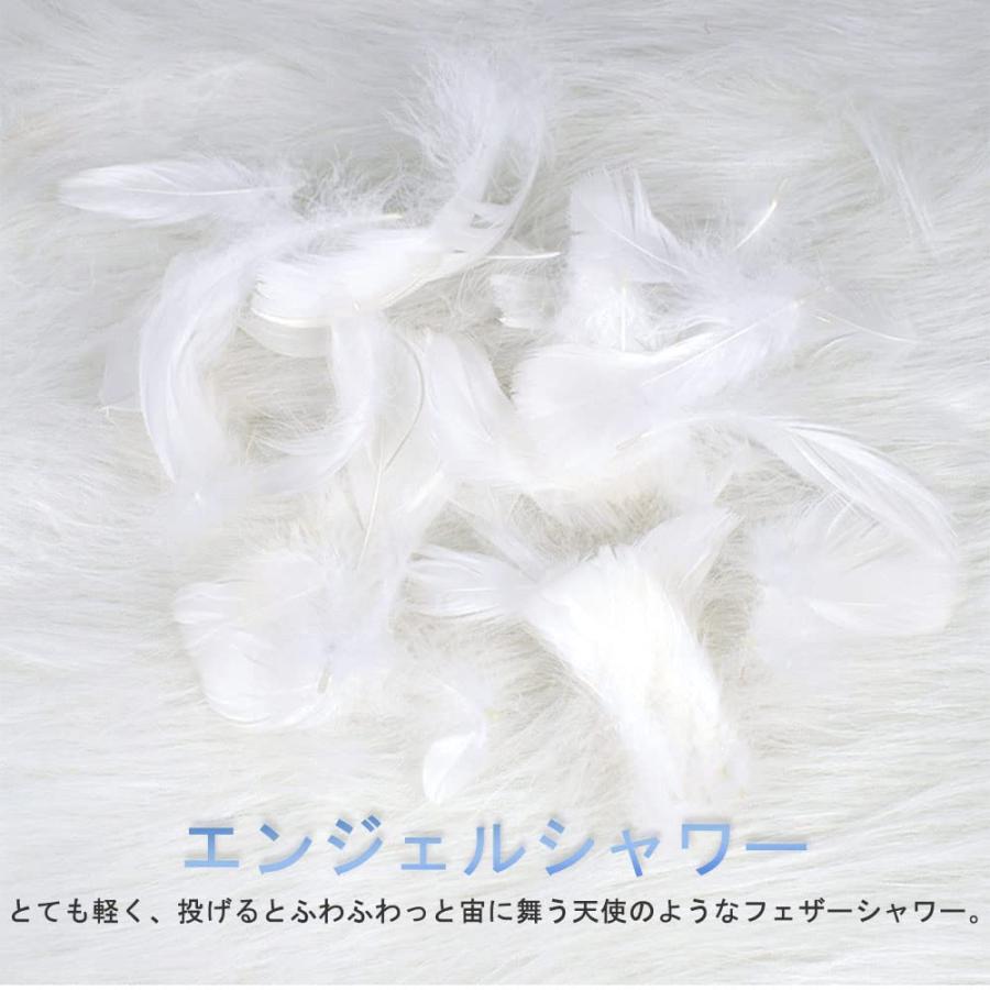 サムコス 羽シャワー フェザーシャ羽シャワー フェザーシャワー 200枚 羽 たっぷり 羽根 たっぷり 手芸材料 飾りフェザー DIY装飾小物 |  | 03
