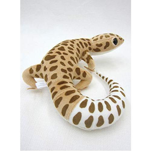 TSTアドバンス リアル・ヒョウモントカゲモドキ : SOLVERTEX - 通販