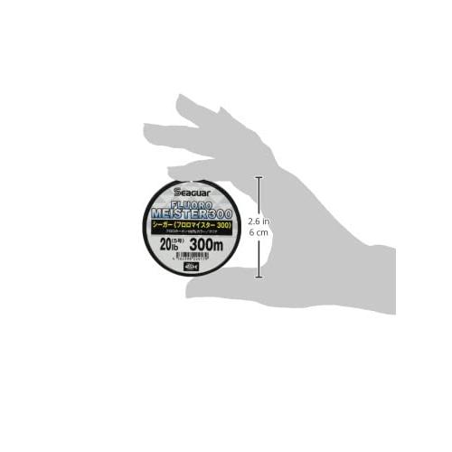 シーガーSeaguar シーガー フロロマイスター300 16lb4号 300m クリア |  | 04