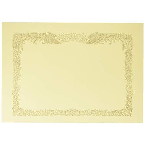 オキナ 賞状用紙 A3 縦書き 10枚 クリーム プリンタ対応 SY-A3 | 