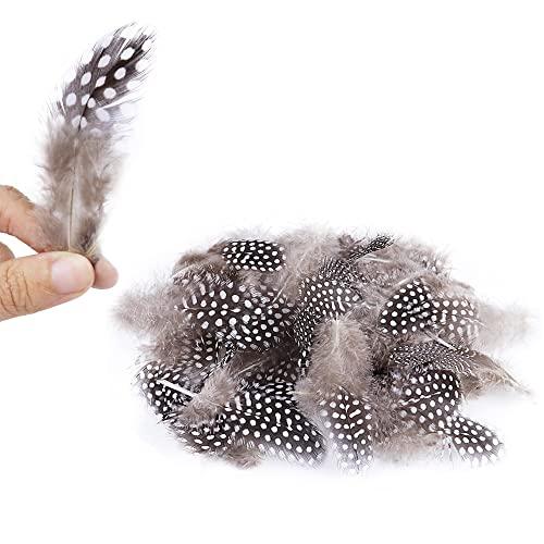 サムコス 羽シャワー フ 天然 3種類 羽根 たっぷり 羽 シャワー 羽根 フェザー 手芸材料 飾り DIY装飾小物 帽子 誕生日 結婚式 演出 |  | 04