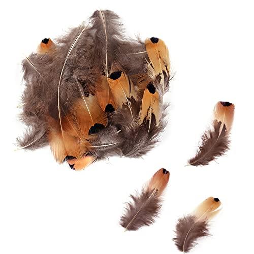サムコス 羽シャワー フ 天然 3種類 羽根 たっぷり 羽 シャワー 羽根 フェザー 手芸材料 飾り DIY装飾小物 帽子 誕生日 結婚式 演出 |  | 05
