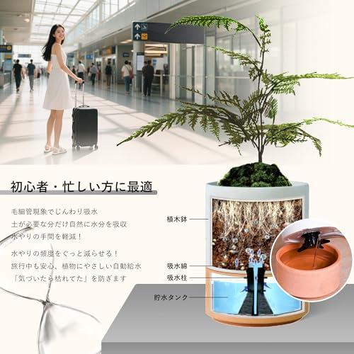 Green Ship 植木鉢 底部自動給水プランター 3号 白のセット 樹脂プラスチ&ストーン 陶器な質感 丈夫且軽量 おしゃれ 塊根植物対応可 |  | 01