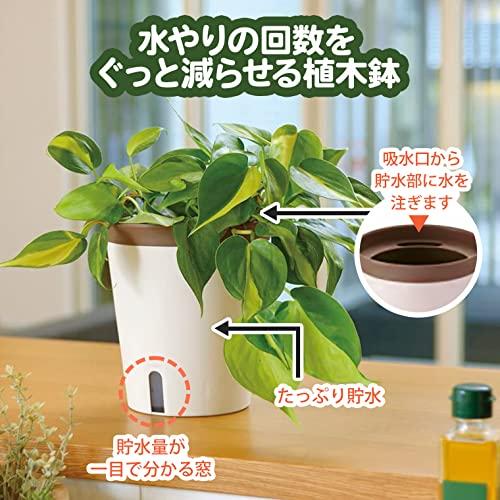 リッチェル 底面給水鉢 ミエルノPlus ポット 13型N ホワイト 700917 土容量 0.4L、水容量 0.2L |  | 01