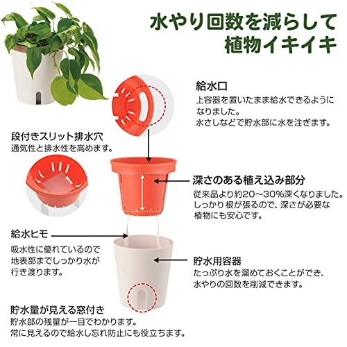 リッチェル 底面給水鉢 ミエルノPlus ポット 13型N ホワイト 700917 土容量 0.4L、水容量 0.2L |  | 02