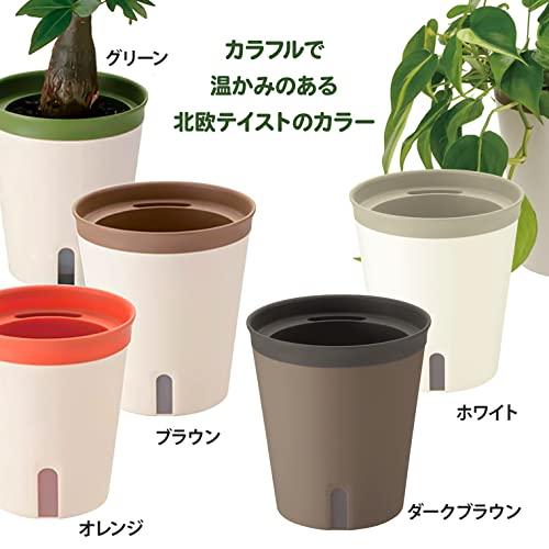 リッチェル 底面給水鉢 ミエルノPlus ポット 13型N ホワイト 700917 土容量 0.4L、水容量 0.2L |  | 05