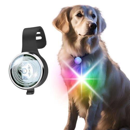Link-N 犬 散歩 ライト 充電式 小型犬 ペット用品 8カラーから