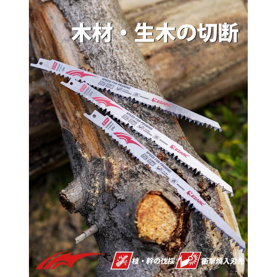 EZARCイザーク レシプロソー替刃 |  | 06