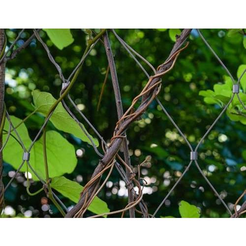 ドウシュウ同舟 ワイヤー 1.5mm ワイヤーロープ 長さ100M ステンレスワイヤー 物干しロープ メッキワイヤー アンテナワイヤー wire |  | 05