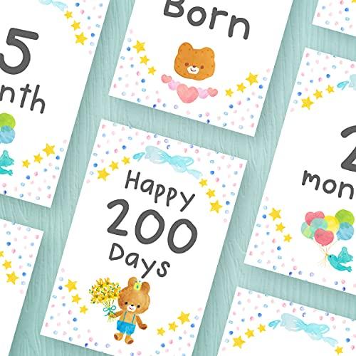 ひまわりページ　マンスリーカード Amazon.co.jp: クローズピン もん 手帳 2024年 A6 マンスリー