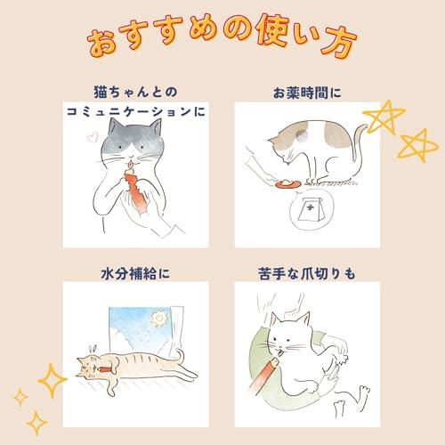 チャオ CIAO ちゅ~るごはん まぐろバラエティ 14g×20本 猫用おやつ |  | 04