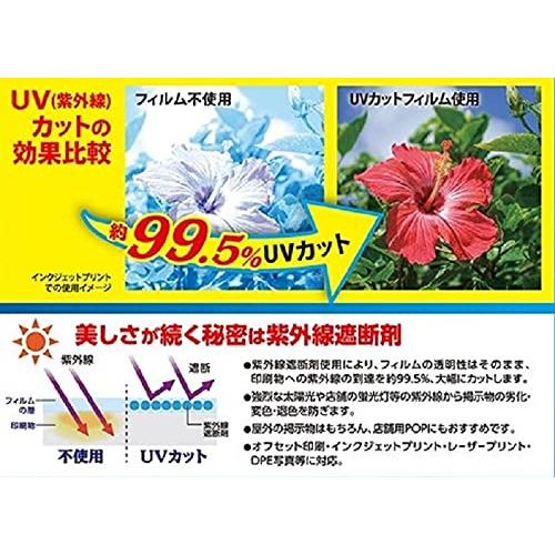 アスカ ラミネートフィルム UV 99.5%カット A4 100ミクロン 100枚入 F4003 |  | 08